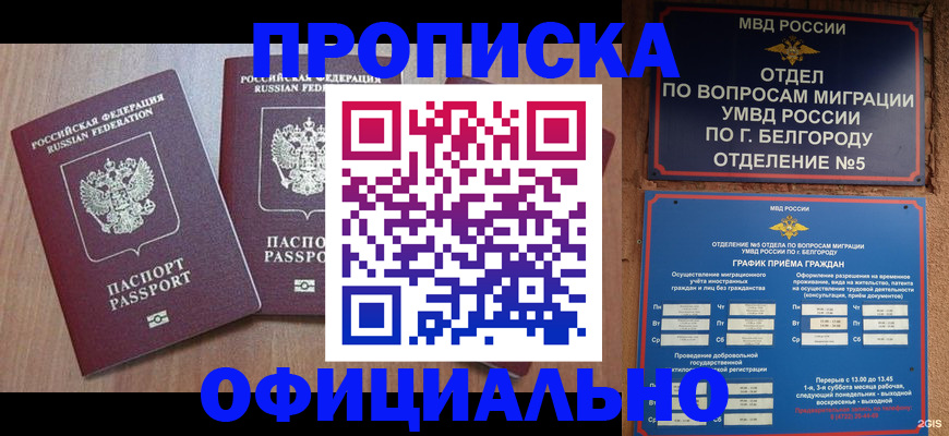 найти адрес прописки в Шали