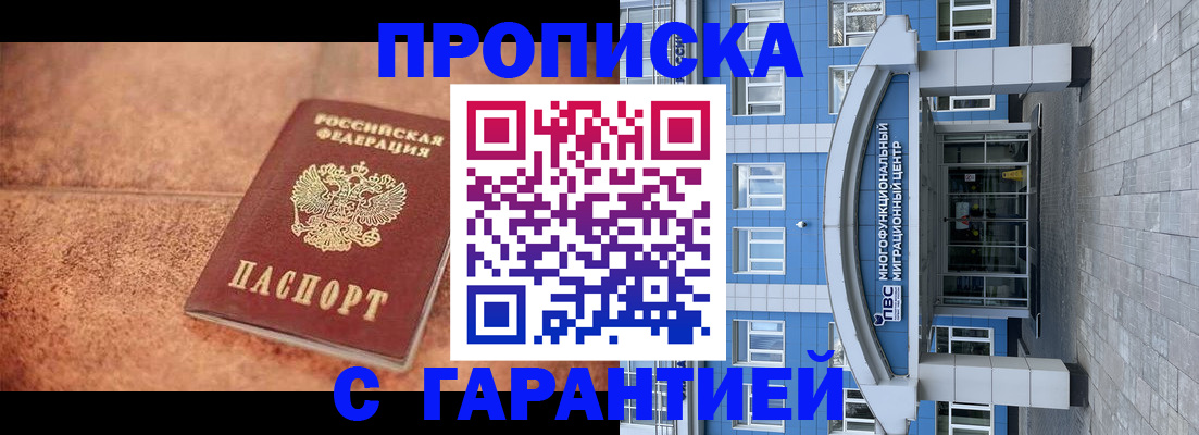 где прописаться в Шали